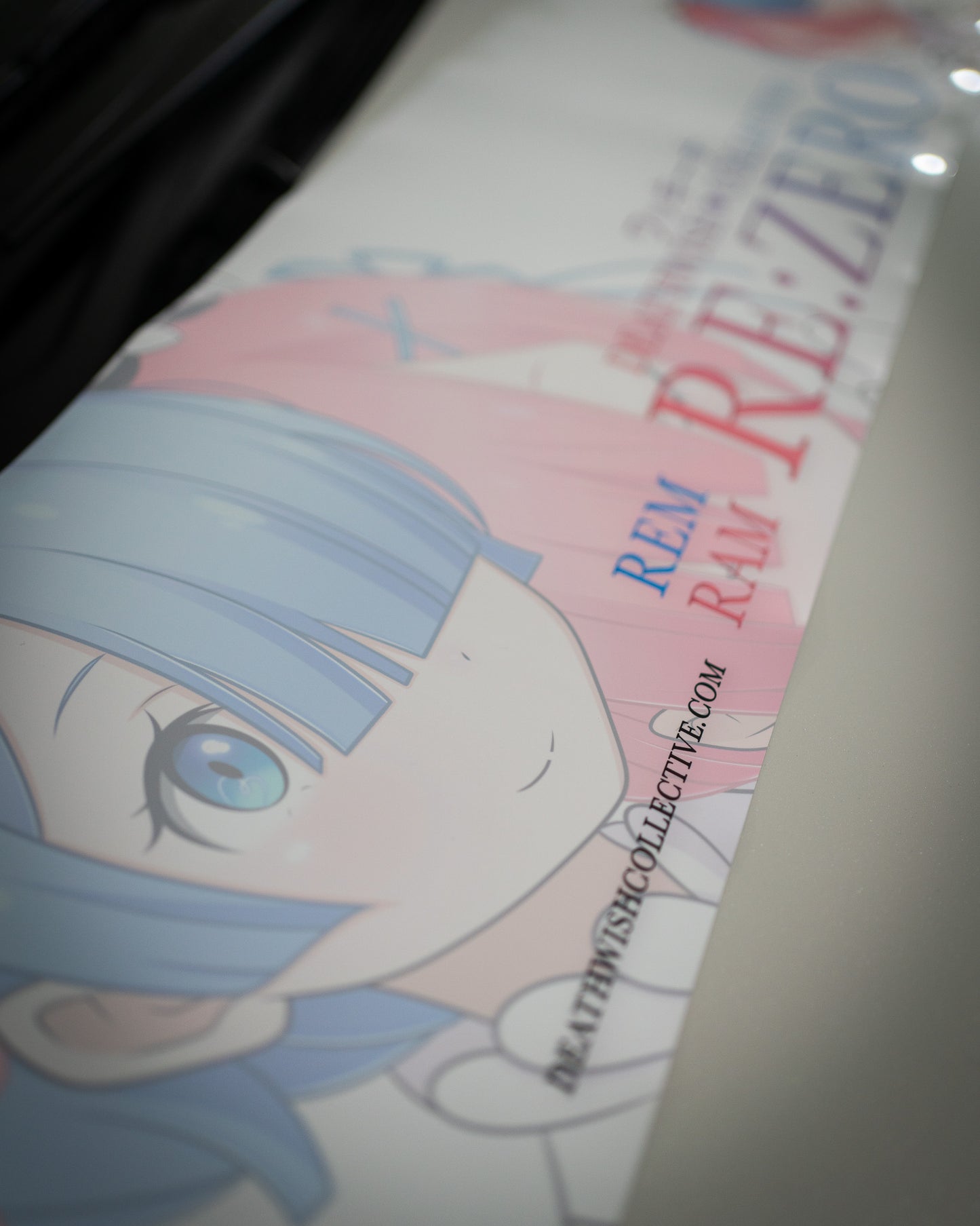 Rem & Ram "Sisters" Banner